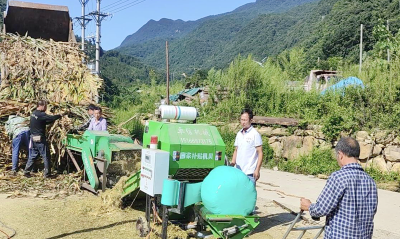 沙河乡：抢抓秋收时节备足牛羊口粮