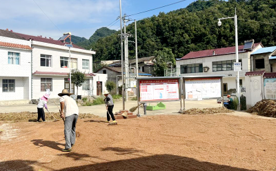 土城镇：耕地流失整改 整出万亩高粱红