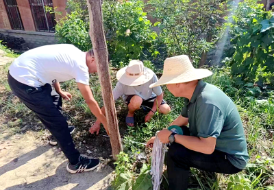 土城镇：路灯安装照亮小区 共同缔造点亮民心
