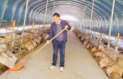 房县：构建现代畜牧产业链 高质量发展庭院经济