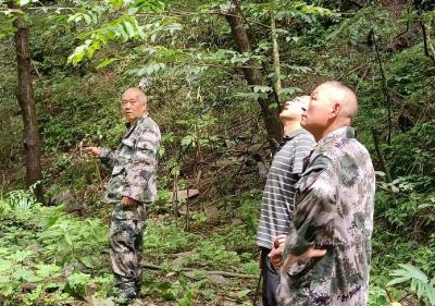 五台乡:巡山护林 护林员在高温下守护山林安全