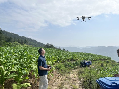 青峰镇：科技赋能 种烟无忧