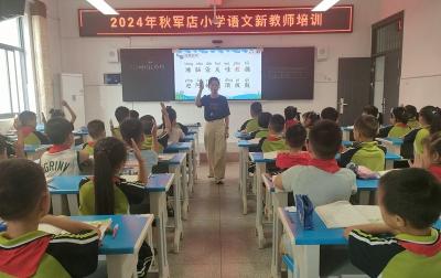 军店小学：凝“新”聚力 赋能成长