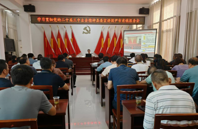 尹吉甫镇举办学习贯彻党的二十届三中全会精神宣讲报告会