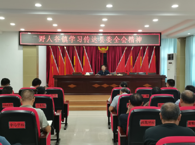 野人谷镇：传达学习贯彻县委十五届五次全体（扩大）会议精神