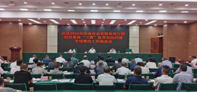 全县农村集体“三资”突出问题专项整治推进会召开