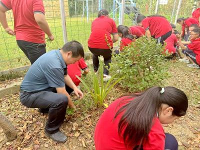 房县东城小学：除草护绿迎新貌 校园整洁启新篇