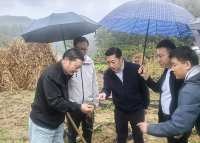 五台乡：乘东风帮扶之力 绘乡村振兴美好画卷