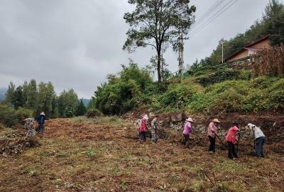 沙河乡：全力推进耕地流失整改工作