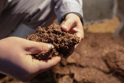 中坝乡漳兰河酒业：非遗传承铸辉煌 中坝大曲启新章