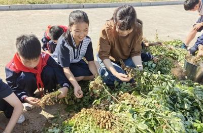 房县东城小学教联体：劳动润童心 欢乐庆丰收