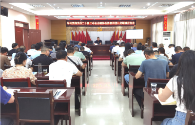化龙堰镇举行学习贯彻党的二十届三中全会精神宣讲报告会