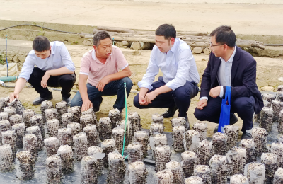 房县农商行土城支行：以实际行动践行金融担当 为地方发展注入活力