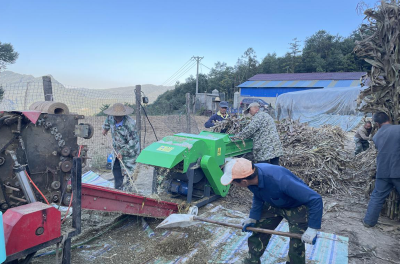 沙河乡：“秸”尽所能 守护碧水蓝天