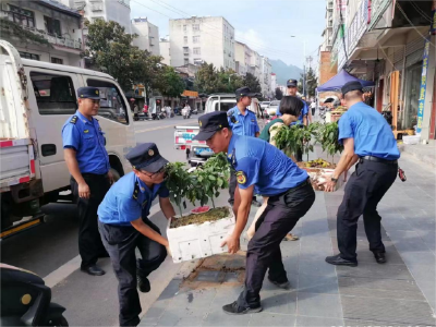 县城市管理执法局：“城”意护航育桃李