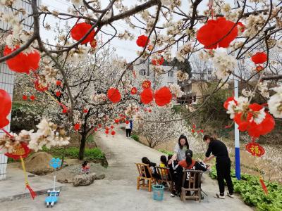 乡村“好风景” 乡亲“好钱景”——房县城关镇全力打造“海陆空”产业实现高质量跨越式发展观察