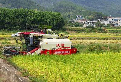 房县供销社扎实开展社会化服务工作