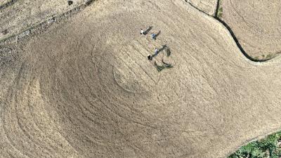 房县城关镇：秋种正当时 油菜播种忙