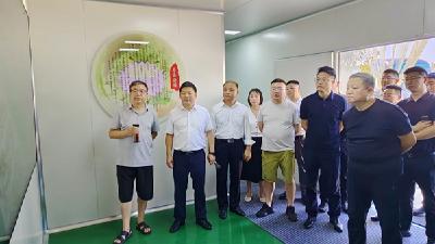 十堰中药产业发展大会与会人员来房考察调研