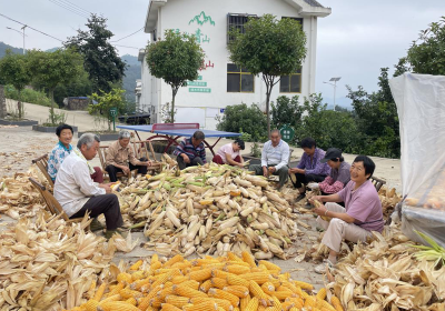 沙河乡：一家有事百家忙 共同缔造好“丰”景