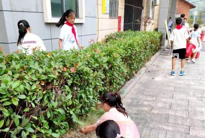 门古寺镇项家河小学：开展建设优美校园劳动实践活动