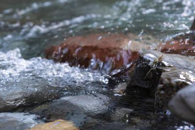 中坝乡漳兰河酒业：碧水绕山间 佳酿飘四方