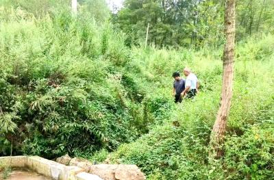 回龙乡：清理库区水源 扮靓乡村环境