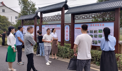 沙河乡：共同缔造和美村庄 乐享安居幸福生活