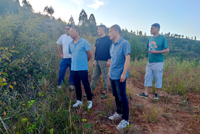 化龙堰镇：严守耕地“红线” 筑牢粮食安全“底线”