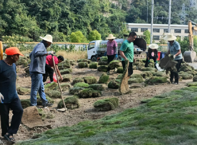 房县上龛乡：群众变“规划师” 荒地变“小公园”