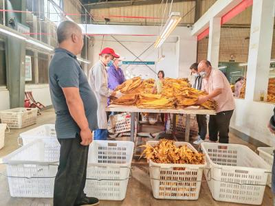 九道乡：烟叶收购开秤喜迎丰收