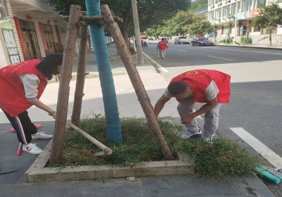 沙河乡：清洁活动“不松劲” 全面提升“新颜值”