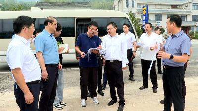 杨丹华调研城关镇三海片区乡村振兴建设项目