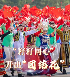 联播观察｜“籽籽同心” 开出“团结花”