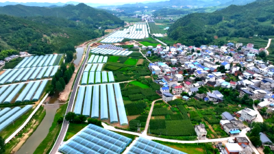 化龙堰镇：共同缔造聚民心  美好环境齐治理