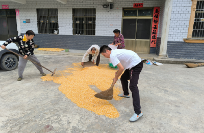 窑淮镇陈家铺村：驻村工作队爱心接力助农忙