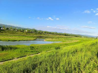 军店镇：清洁河流在行动  碧水清流同守护