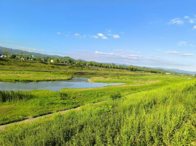 军店镇：奏响治水协奏曲  幸福河湖入画来