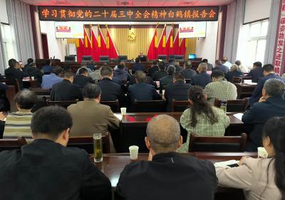 白鹤镇举行学习贯彻党的二十届三中全会精神宣讲报告会