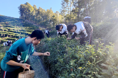 房县城关一中：研学于行成长于心