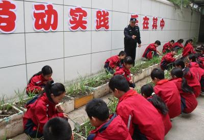 城关镇白土小学：劳动实践 乐在其中