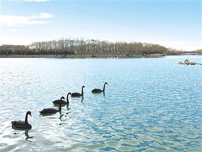 “汉水的女儿”梅洁讲述“南水”——这条河是天上银汉，是地上福光