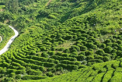 窑淮镇：“三点”工作法 助推“为民办实事”