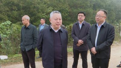 省农业事业发展中心来我县调研