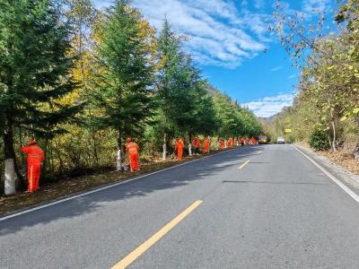 县交通运输局：抢抓好天气 为路树“添冬装”