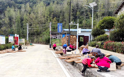 沙河乡：袋料香菇长势旺 村民增收致富忙