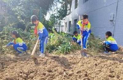 军店镇月明小学：金秋农耕育新苗  勤俭节约心中留