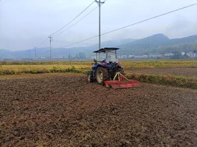 房县白鹤镇：秋冬不“闲”田 栽种油菜忙