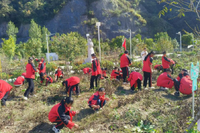 上龛学校：体验中医药文化 践行劳动之美