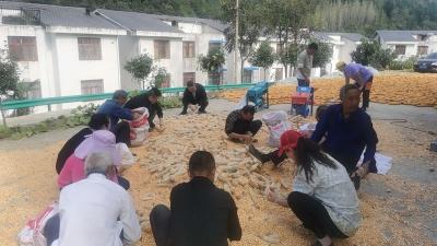 沙河乡：多措并举推进秋冬农业生产